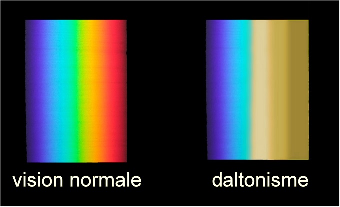 Vision des daltoniens