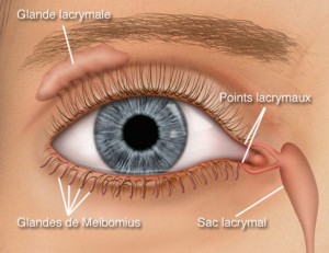 Dilatation des voies lacrymales