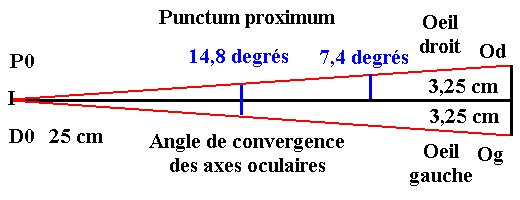 Punctum proximum