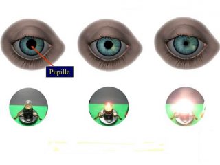 La sémiologie de la pupille - Ophtalmologie